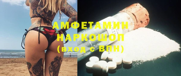 индика Баксан