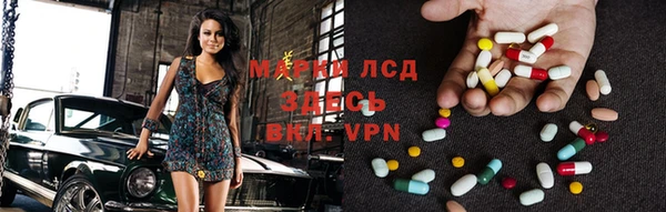 индика Баксан