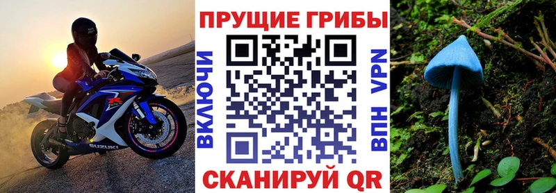 Галлюциногенные грибы Psilocybine cubensis даркнет как зайти Корсаков купить наркотик
